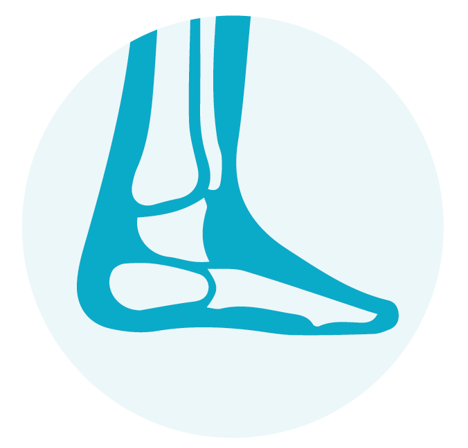 Foot and Ankle icon