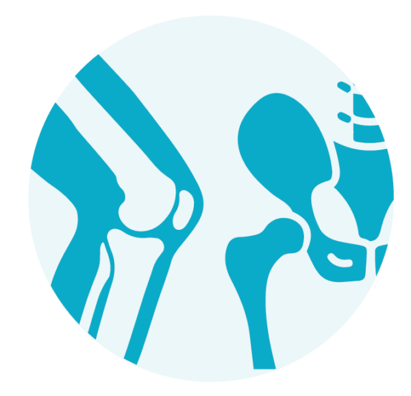 Hip & Knee - Coastal Orthopedics