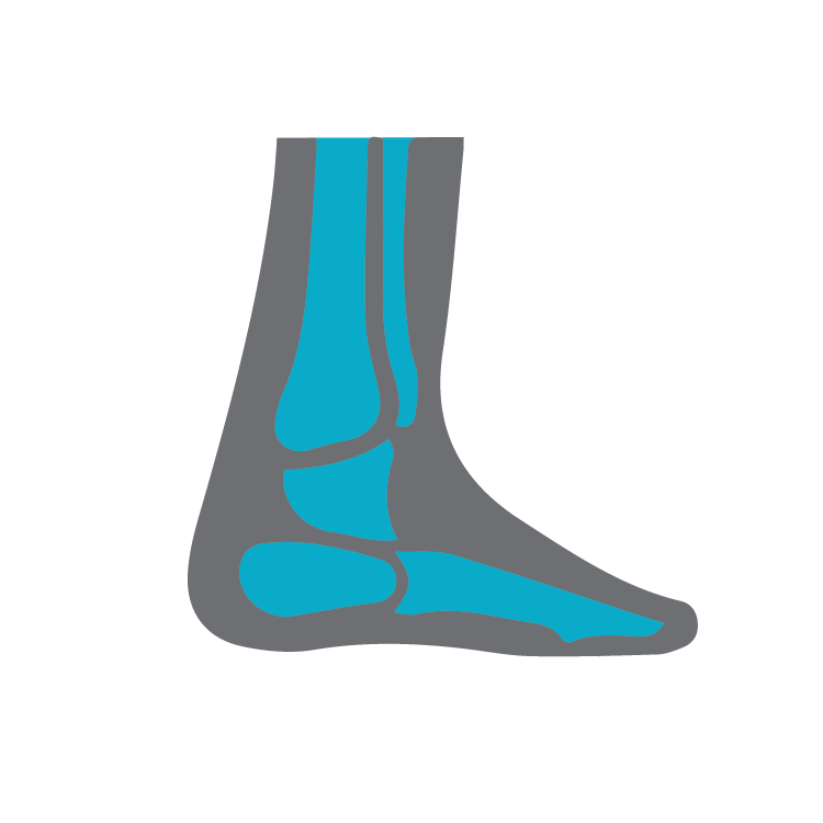 Foot Bone Icon