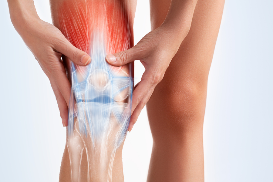 person holding knee in pain with illustration showin gmuscles ligaments and bones around the knee