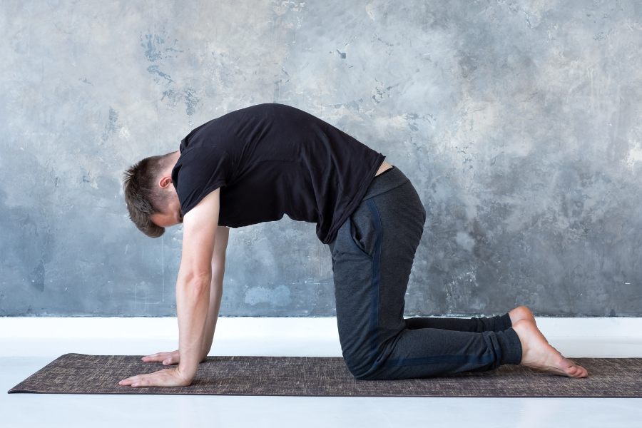 10 must try yoga poses to curb back pain for people who sit a lot – Muselot