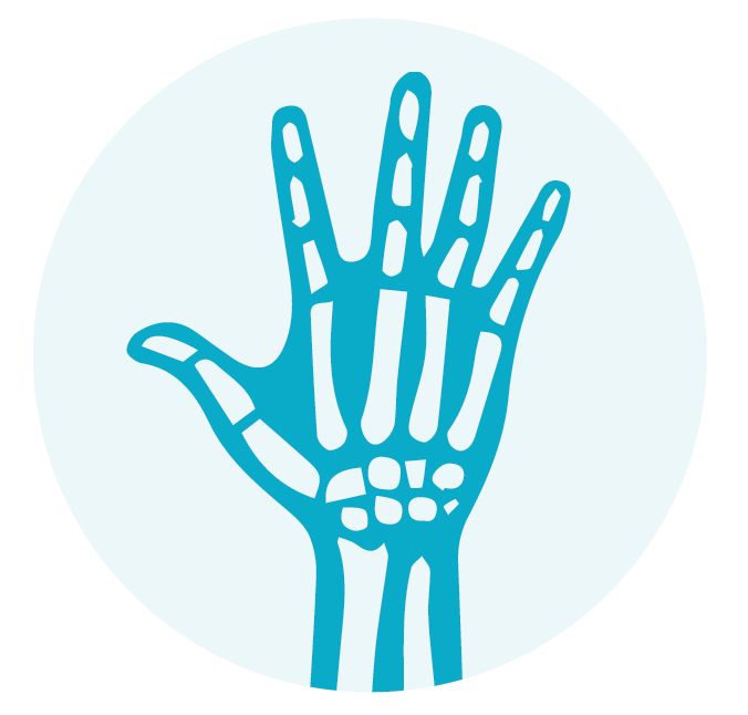 skeleton hand and wrist icon
